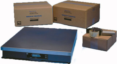 Weigh-Tronix Scale
