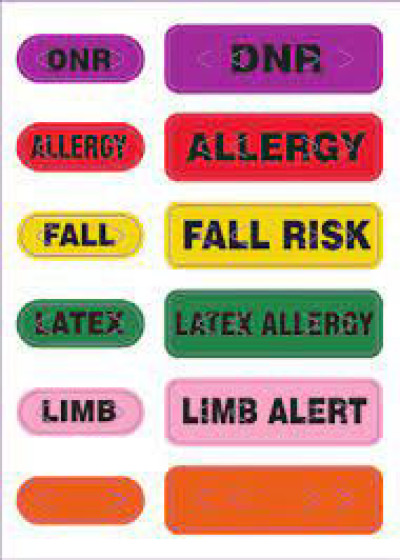Zebra Wristbands