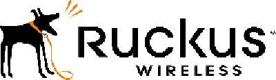 Ruckus Data Networking