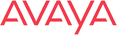 Avaya Accessory