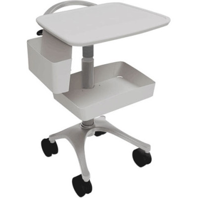 Ergotron Mobile Cart