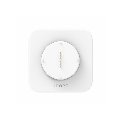 iPort Docks and Cradles