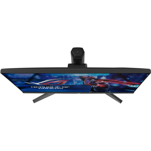 Asus Monitor